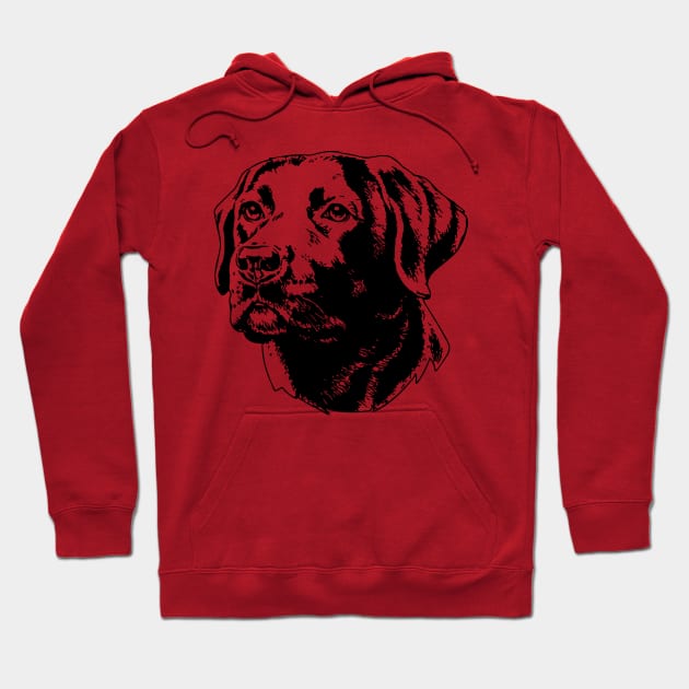 Labrador Hoodie by Sigelgam31